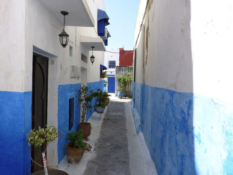 Séjour culturel au Maroc : le programme d&rsquo;été gratuit pour les enfants MRE